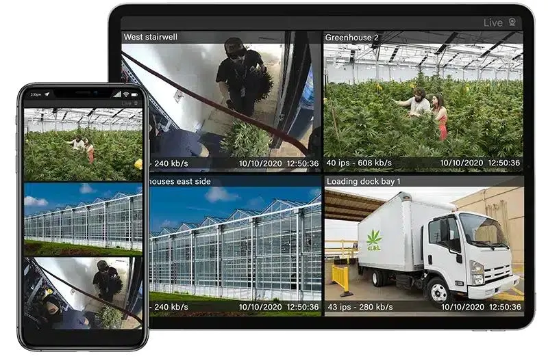 Cannabis Compliance Package